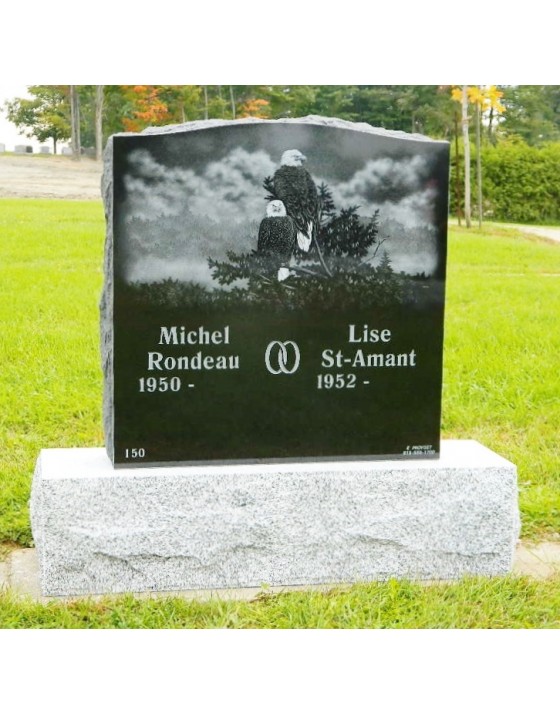 La nature des mésanges