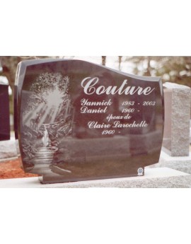 Le cerf au bord de la chute Le cerf au bord de la chute