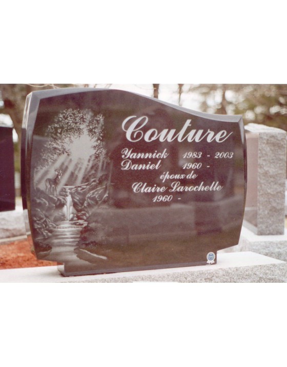 Le cerf au bord de la chute Le cerf au bord de la chute