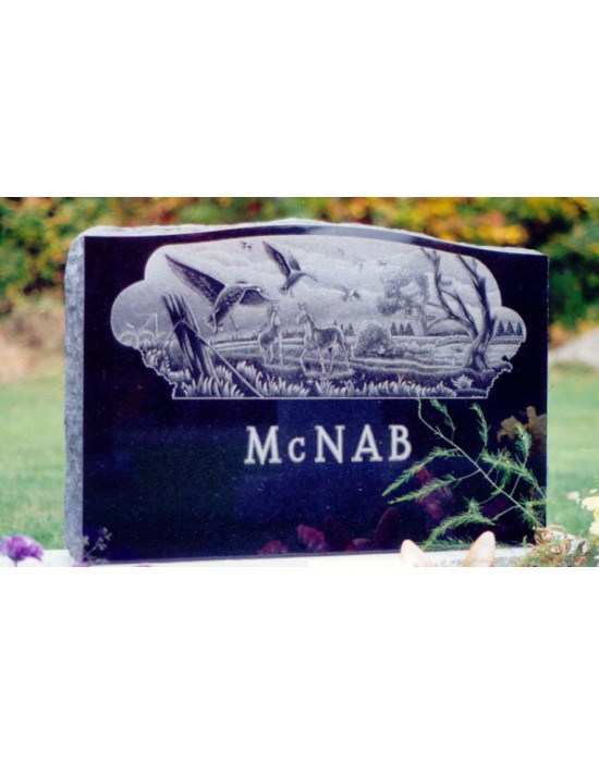 La nature équestre La nature équestre