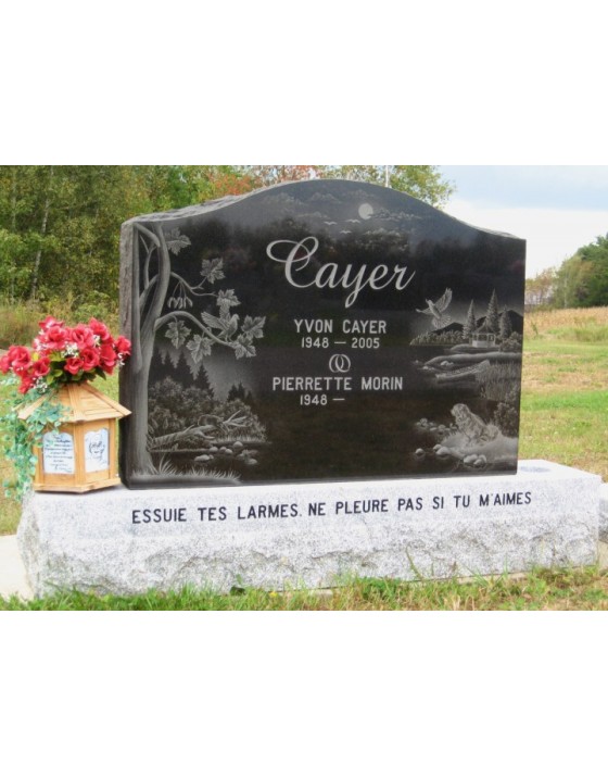 La nature au bord de leau