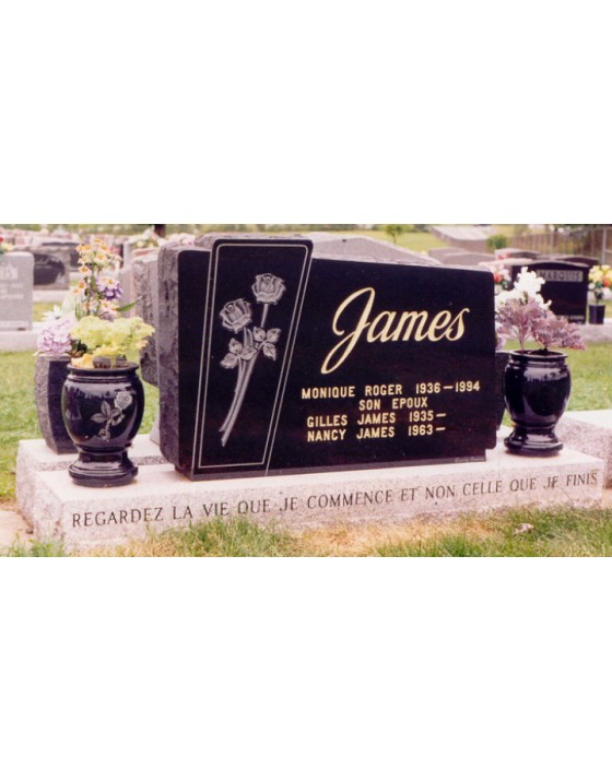 Les roses jumelles Les roses jumelles