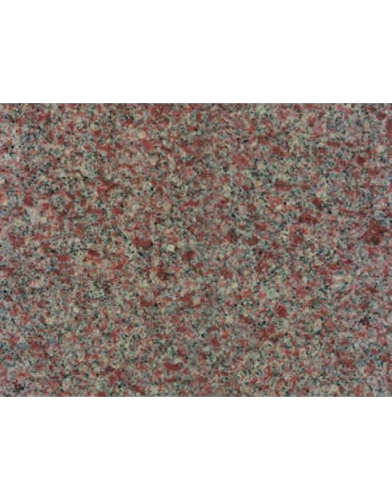 Rose Montagne Rose Montagne