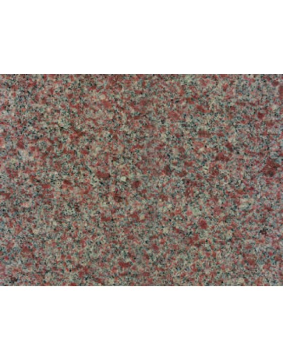 Rose Montagne Rose Montagne