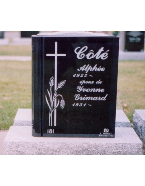 Le livre de la vie Le livre de la vie