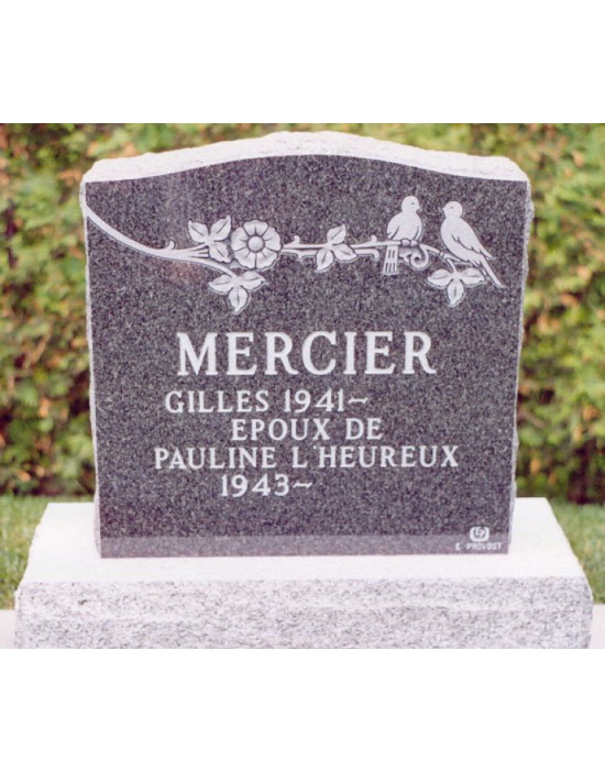 Les pinsons Les pinsons